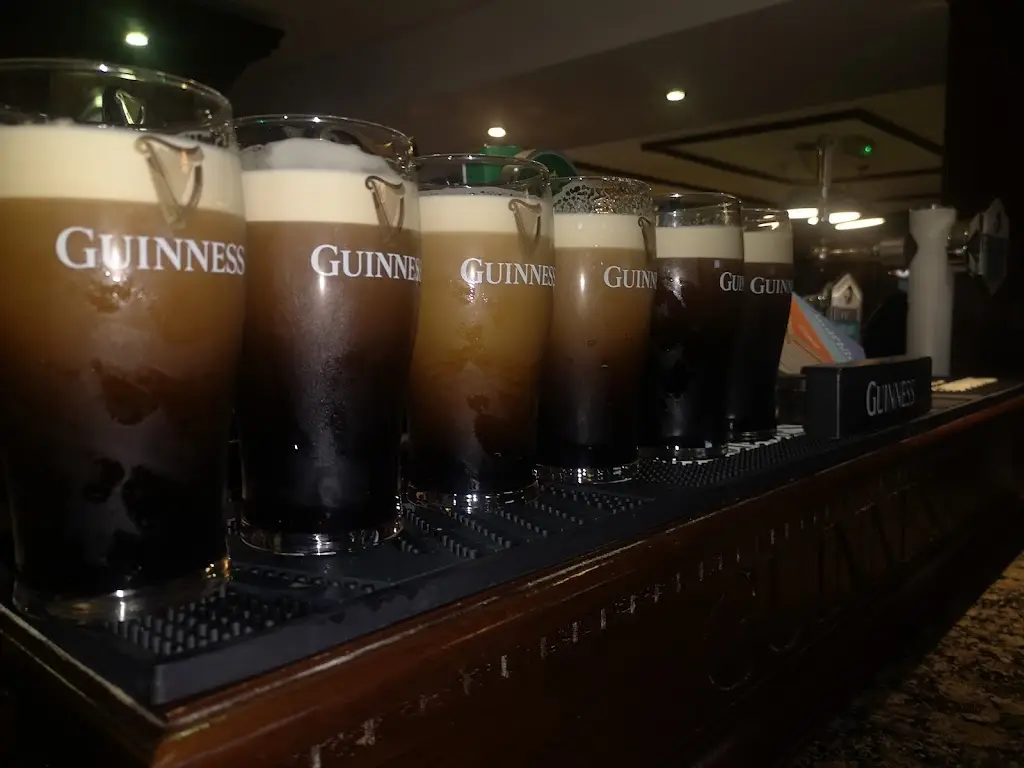 brian fitzgerald_O'Toole's Traditional Bar_Aughrim_recensione