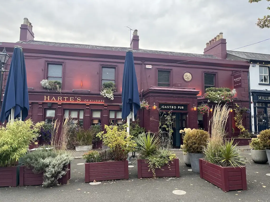 Mark McHugh_Hartes of Kildare_Athgarvan_review