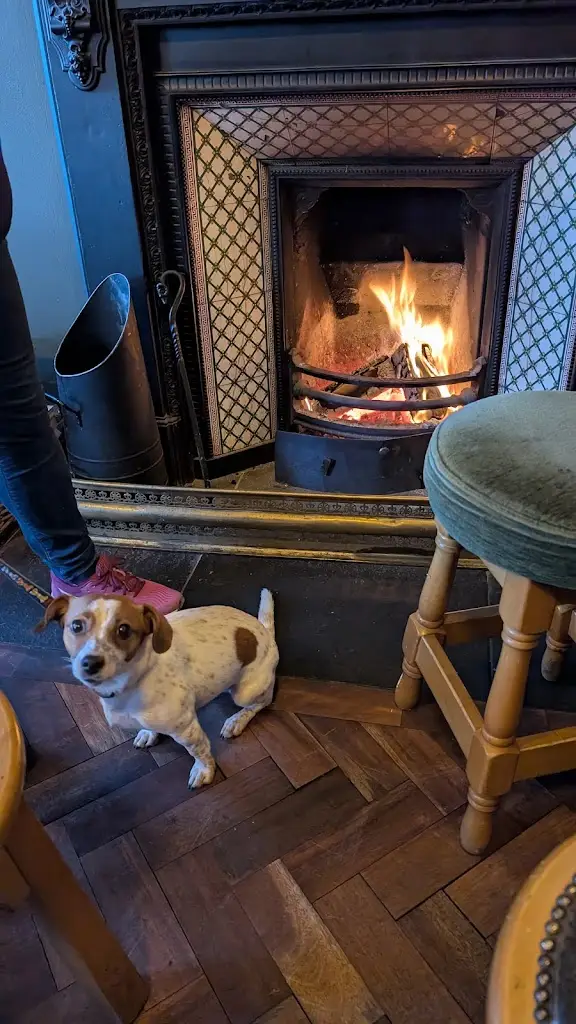 Davide Gessi_Farrington's Mill Restaurant, Café, Bar & Brewery_Athgarvan_Bewertung