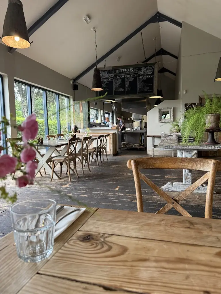 Catherine Shawarby_The Green Barn_Athy_review