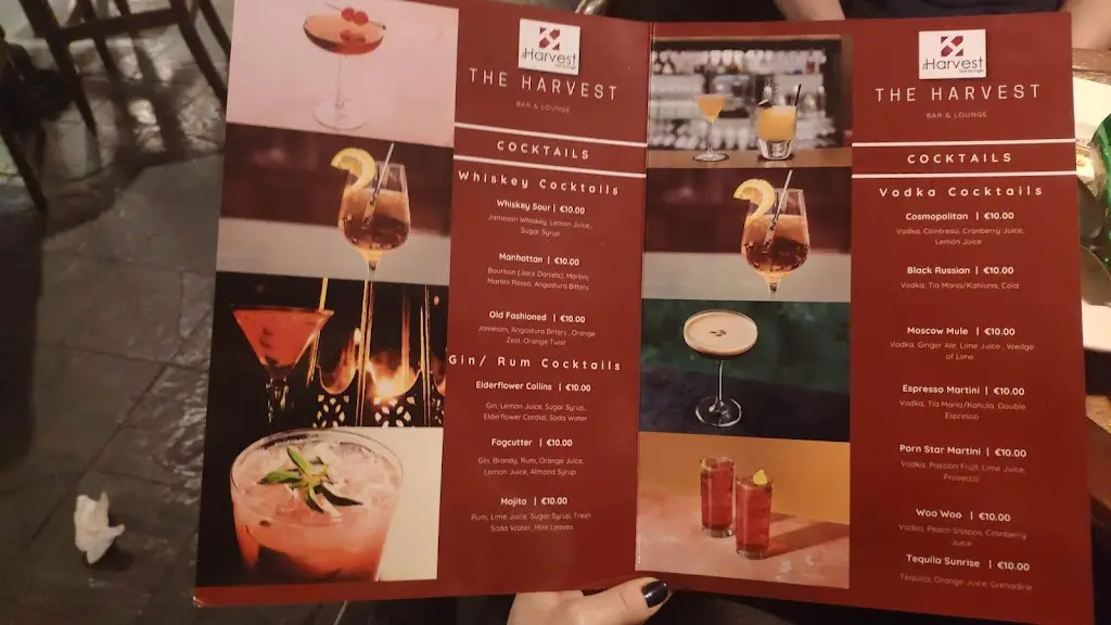 Menu_The Harvest_Balbriggan_image_3