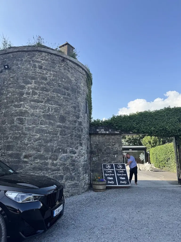 Michael Del Masto_Tyrrellspass Castle_An Iarmhí_review