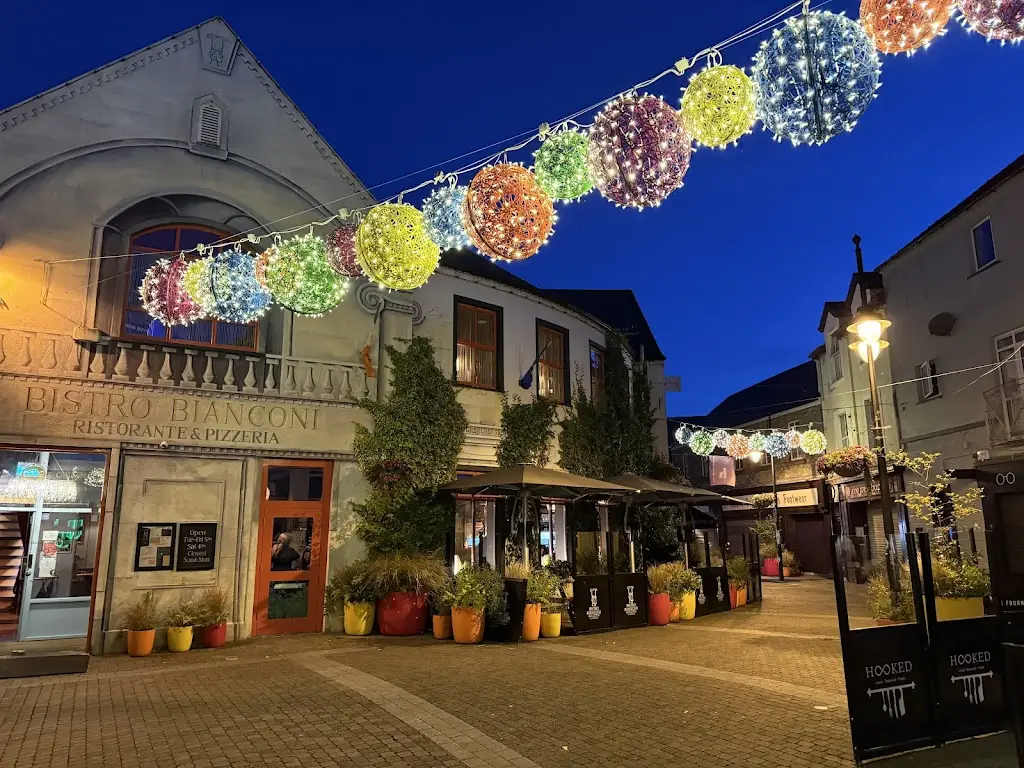 Annelise Stone_Bistro Bianconi_Collooney_avis