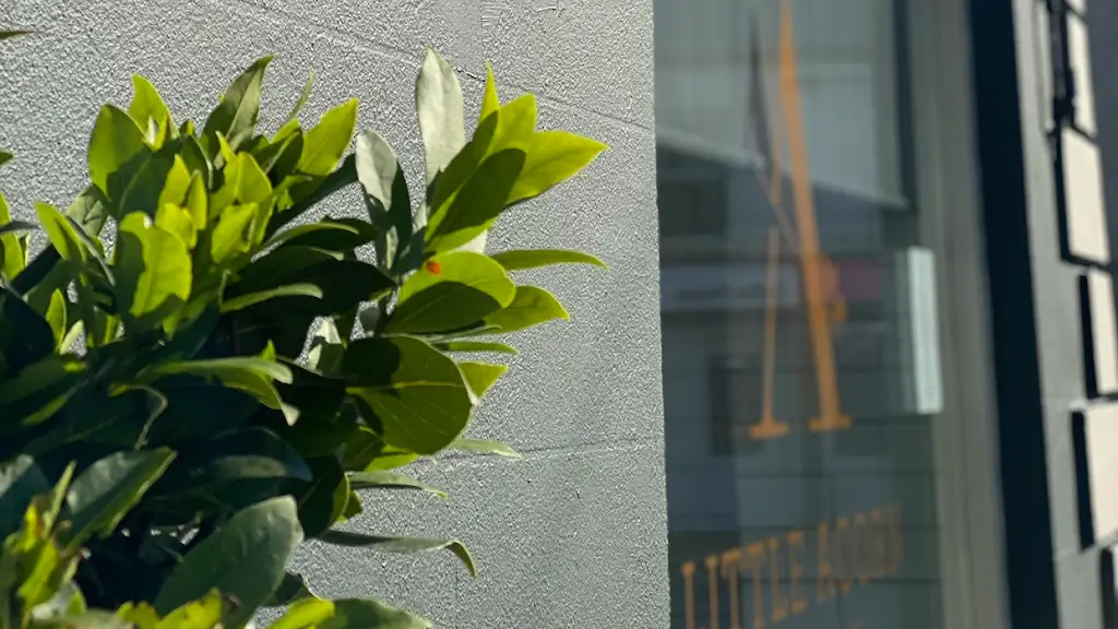 Little Acorn Cafe_Baltinglass_slider_image_3