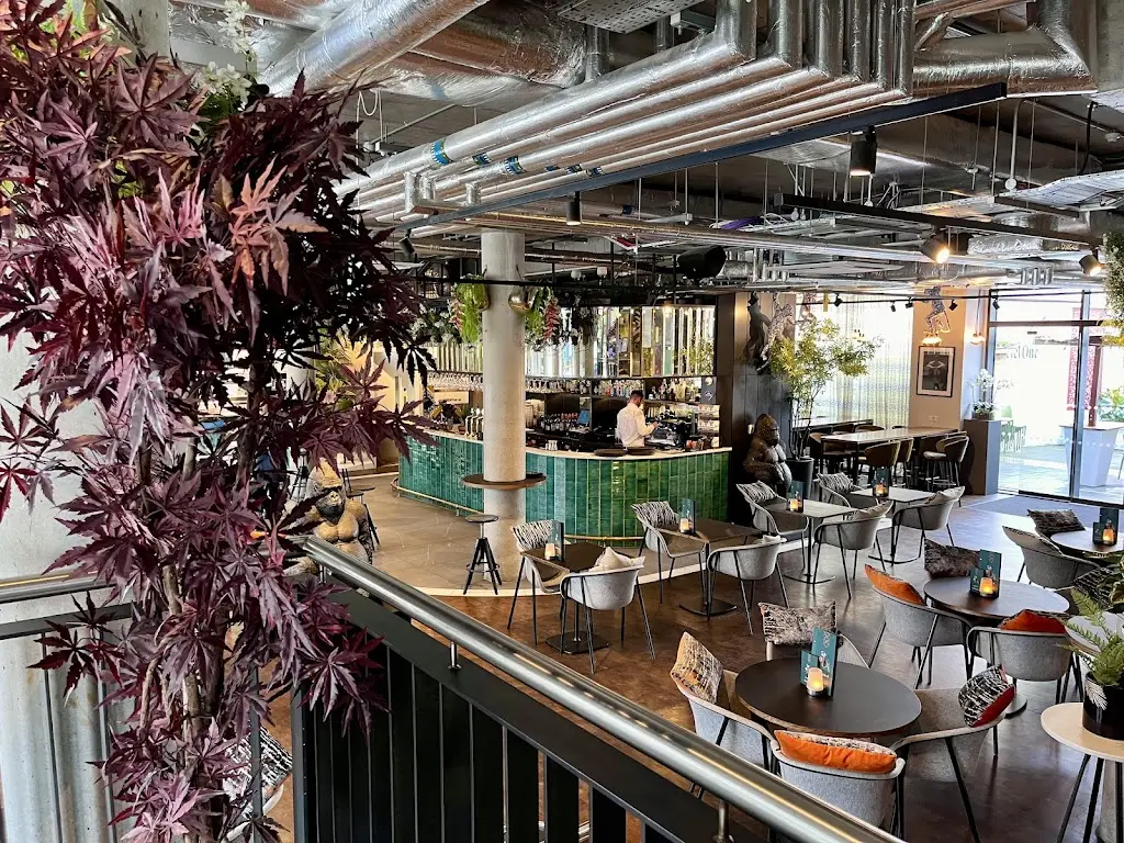 Tamás Flucsa Major_Botanical_Bayside_review