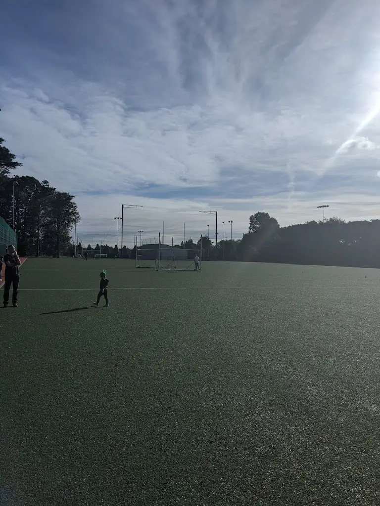 Ronan Connolly_Ballyboden St Enda's All Weather Pitch @ Sancta Maria_Ballyboden_review