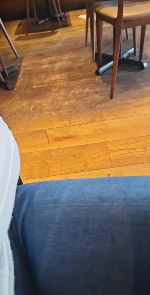 Alisa Pasat_Milano_Blanchardstown_reseña