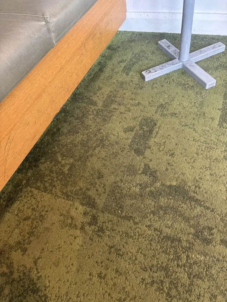 MaryV V_Chopped_Blanchardstown_review