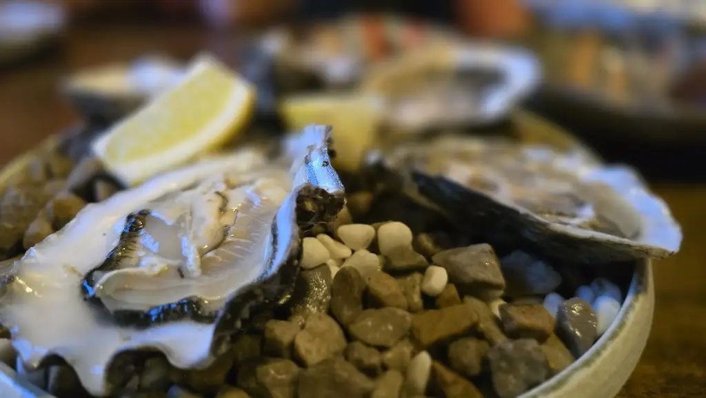 Doug Leddin_Sea Shanty_Booterstown_review