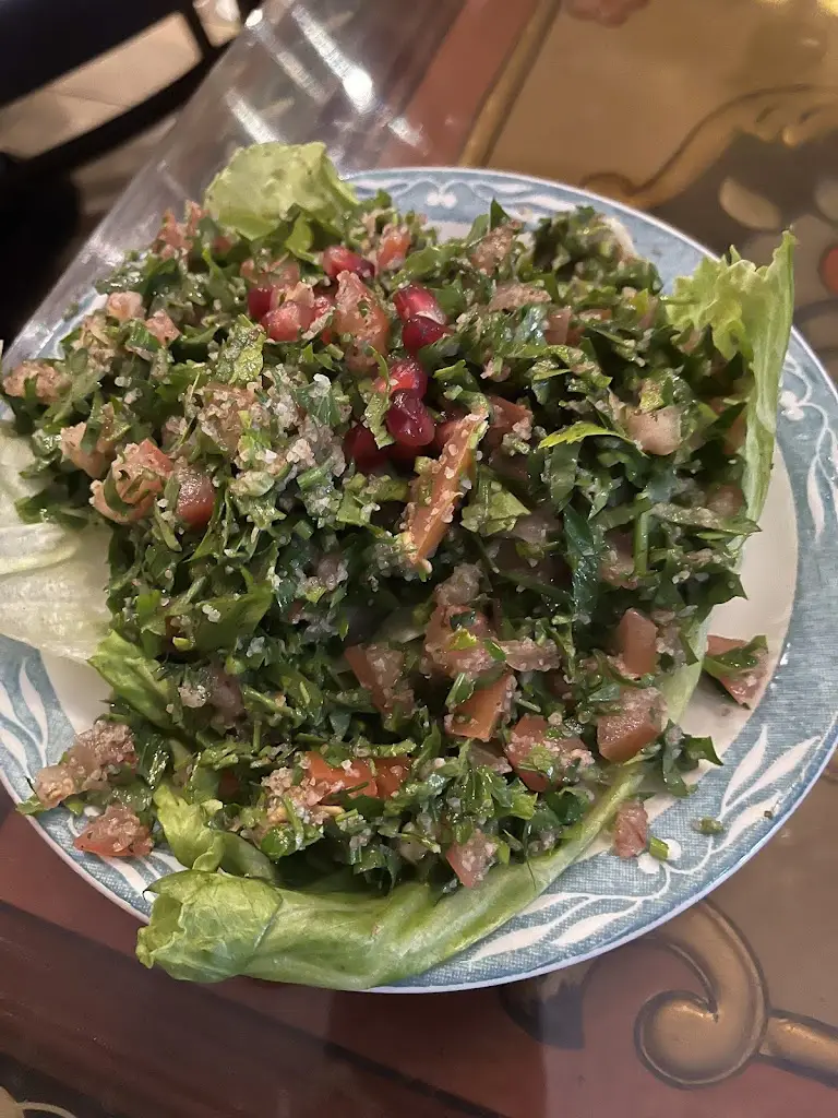 Yasmin Ampudia_Damascus Gate Restaurant_Bonnybrook_review