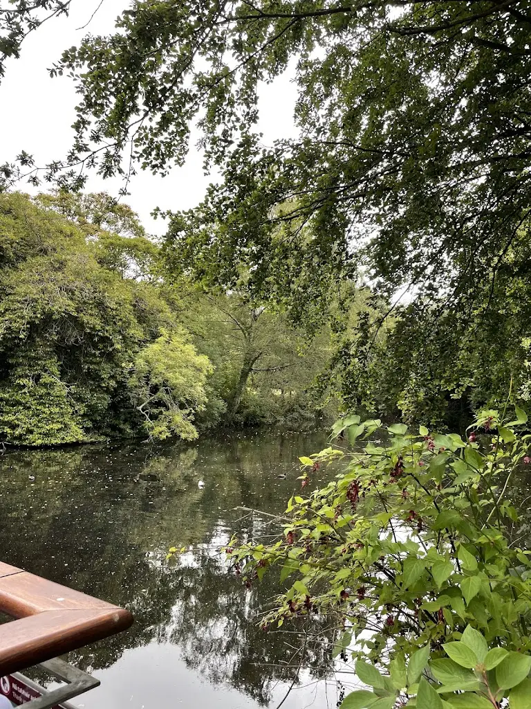 Clara_Boathouse Restaurant_Castleknock_reseña