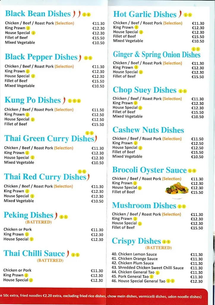 Menu_Regent Chinese Restaurant_Castlebridge_immagine_4