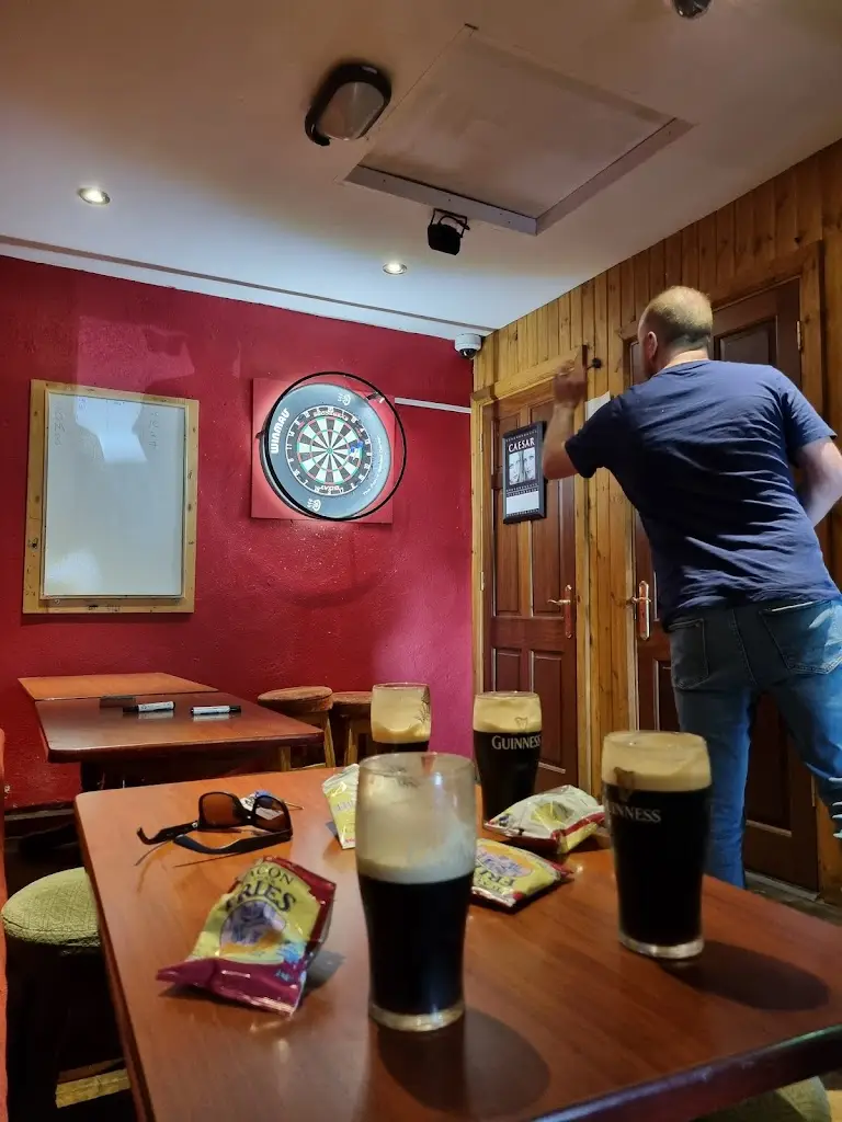 Mark O'Donnell_Doyles Pub_Castledermot_review