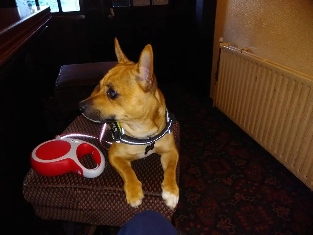 Miley's Blessington_Blessington_slider_image_2