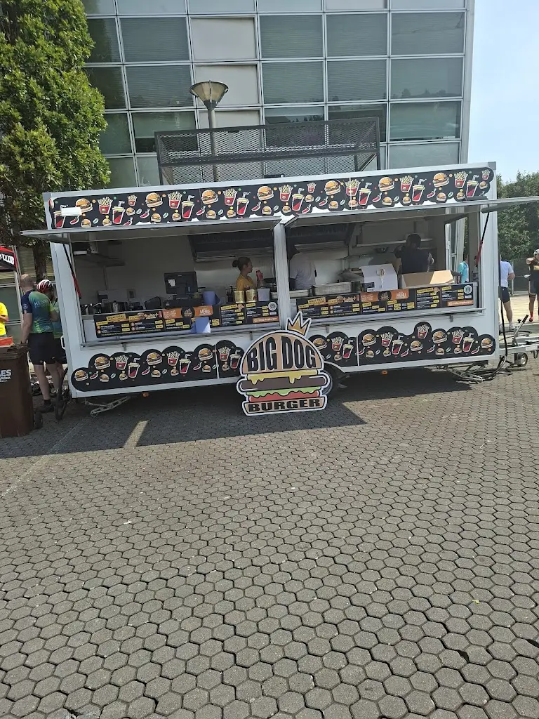 Ray Ó Halloran_Big Dog Burger_Blessington_review