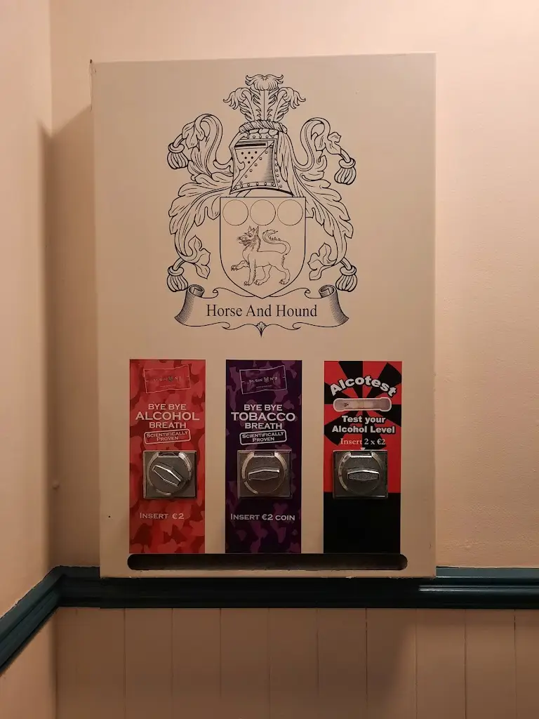 Ursula GB_The Horse and Hound_Cabinteely_review