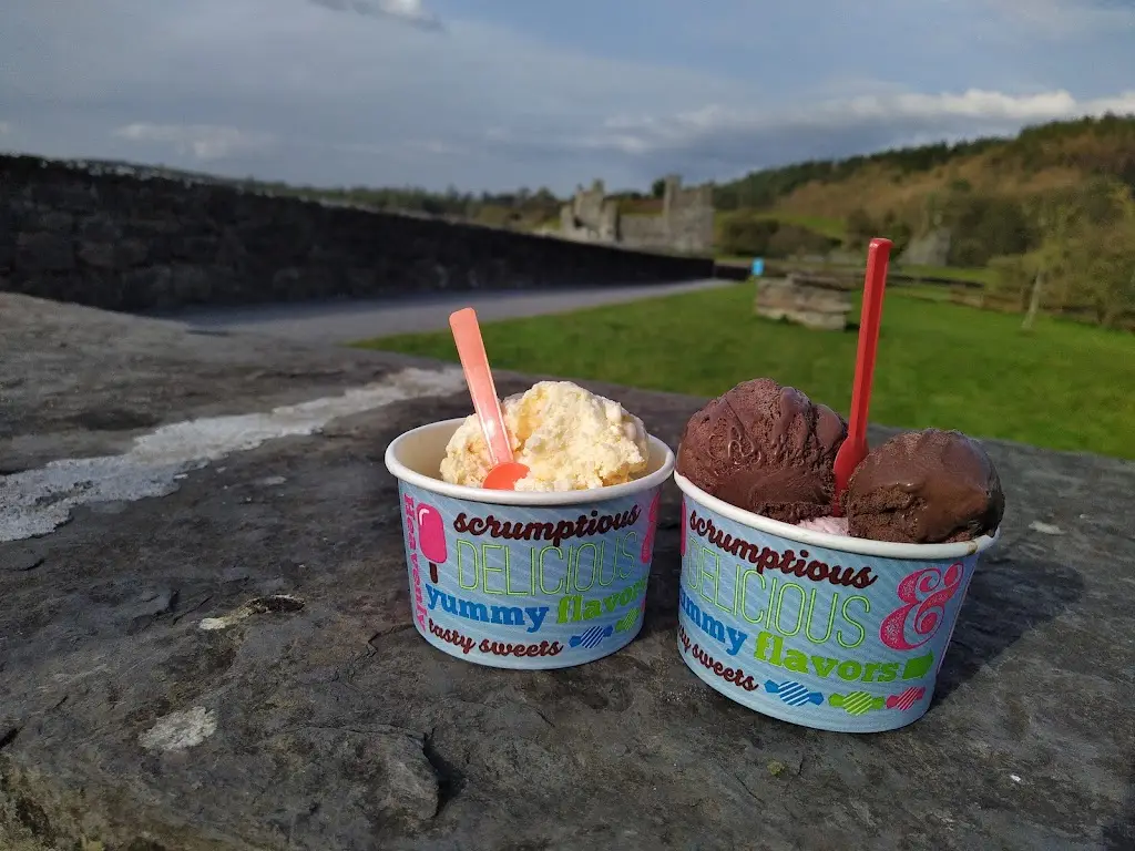 Milca Wilson_Fore Abbey Coffee Shop Café_Castlepollard_review