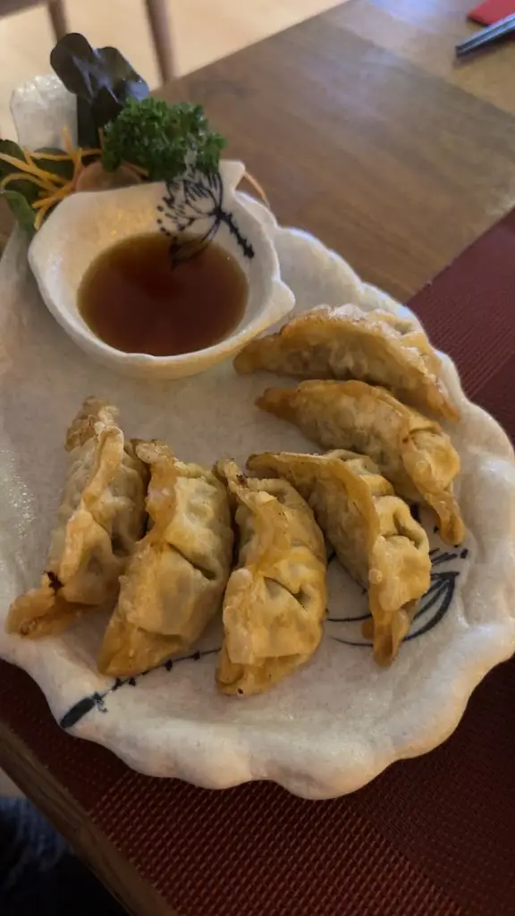 Amy Doyle_Hasu Izakaya Restaurant Greystones_Charlesland_review