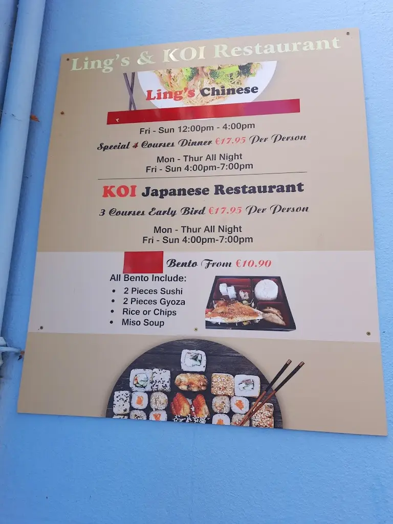 Menu_Koi Japanese Restaurant - Bray_Bray_image_2