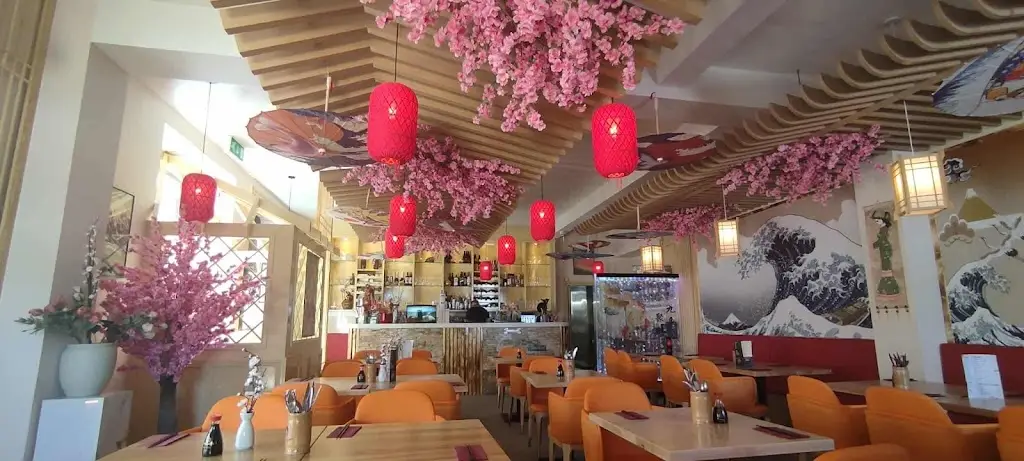 Athena Argos_Koi Japanese Restaurant - Bray_Bray_avis