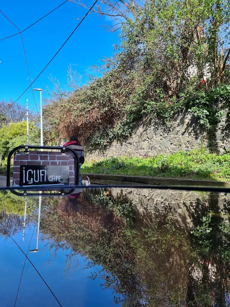 Neeraj Jain_I GUFI CAFE_Bray_review