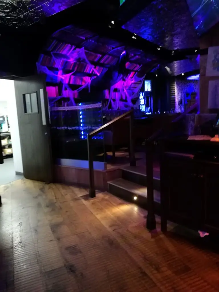 Ken Moussat_McGettigan's_Bray_review