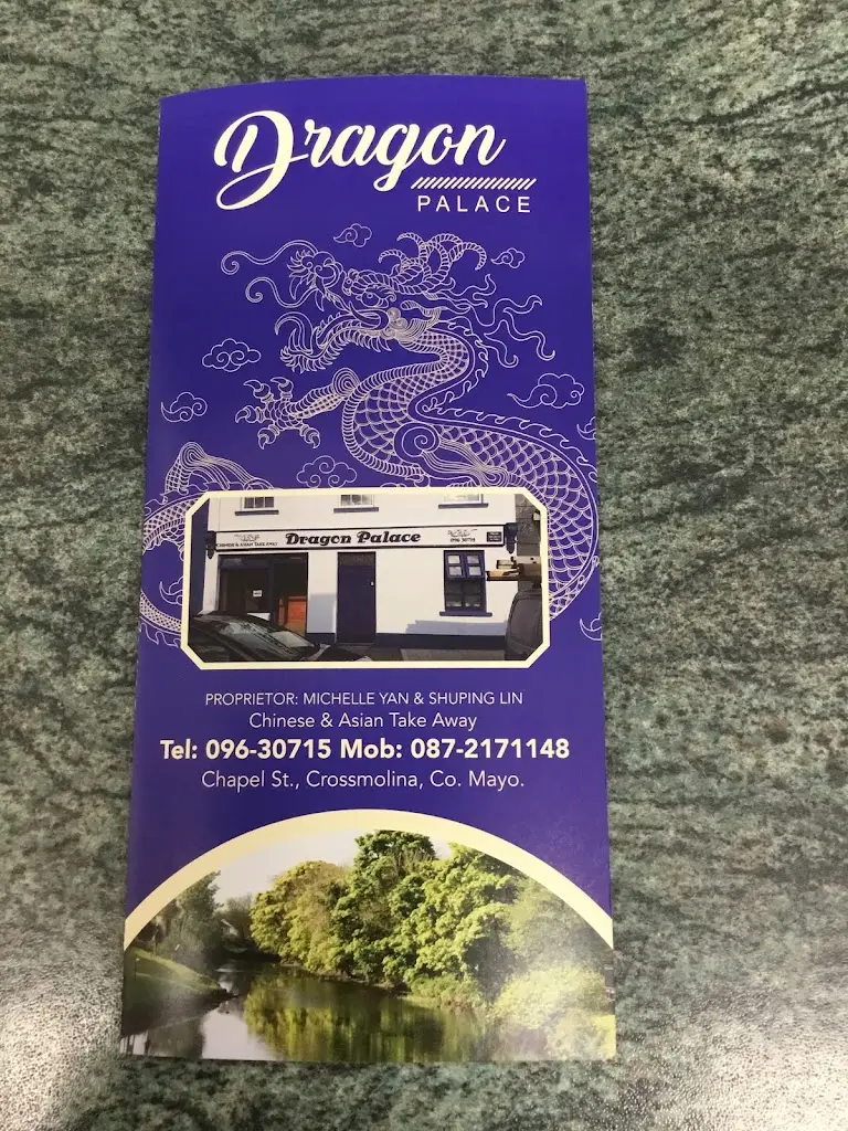 Dragon Palace Chinese Takeaway_Crossmolina_slider_image_3