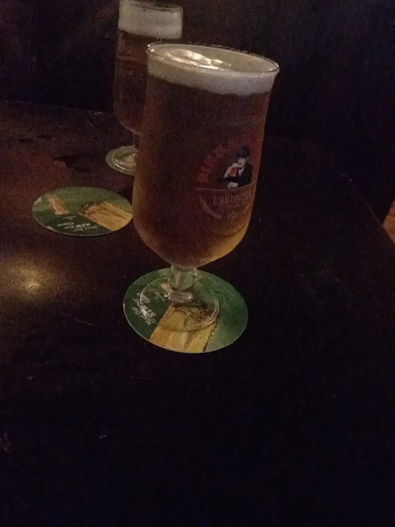 Mike Watt_Teach Dolmain_Carlow_review