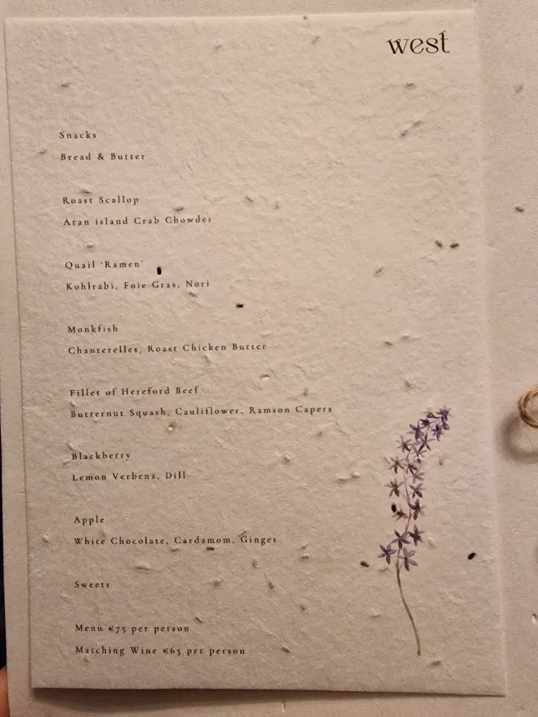 Didem_Blackthorn Restaurant_Bearna_review