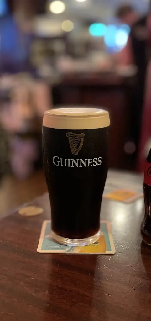 delfleming1_The Village Inn Pub_Celbridge_review