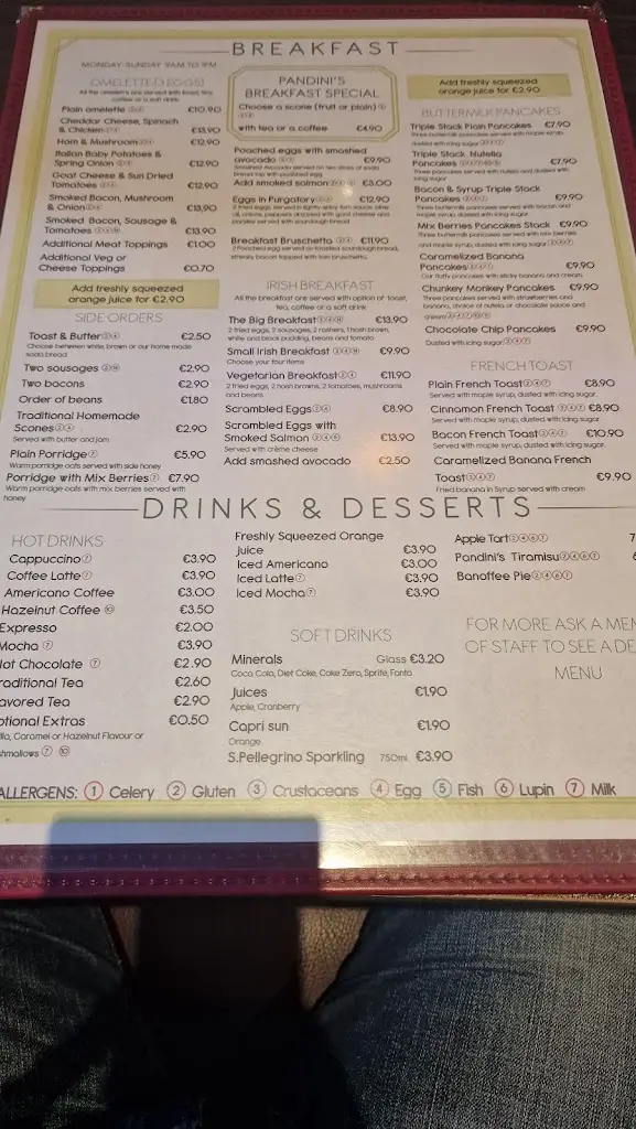 Menu_Pandini's Restaurant_Clondalkin_image_4