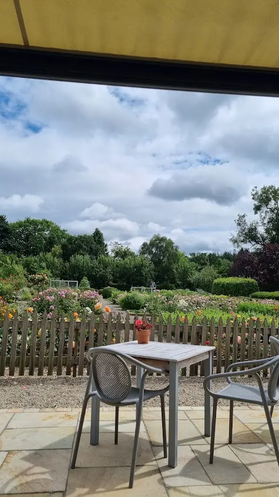 Eliz N_The Duck Restaurant_Courtown_review