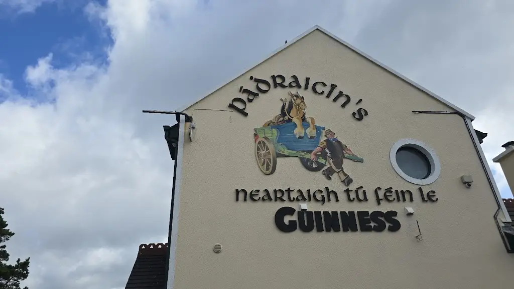 A J (Lexi)_Pádraicíns Gastropub_Bearna_review