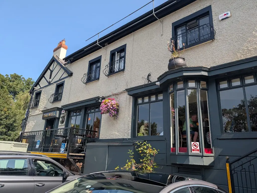 Barry Sullivan_The Dropping Well_Clonskeagh_review