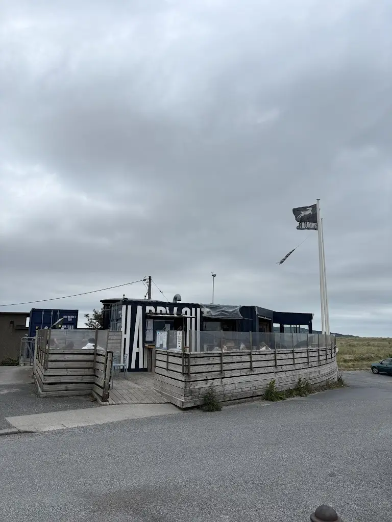 María Romo Covarrubias_Happy Out_Dollymount_reseña