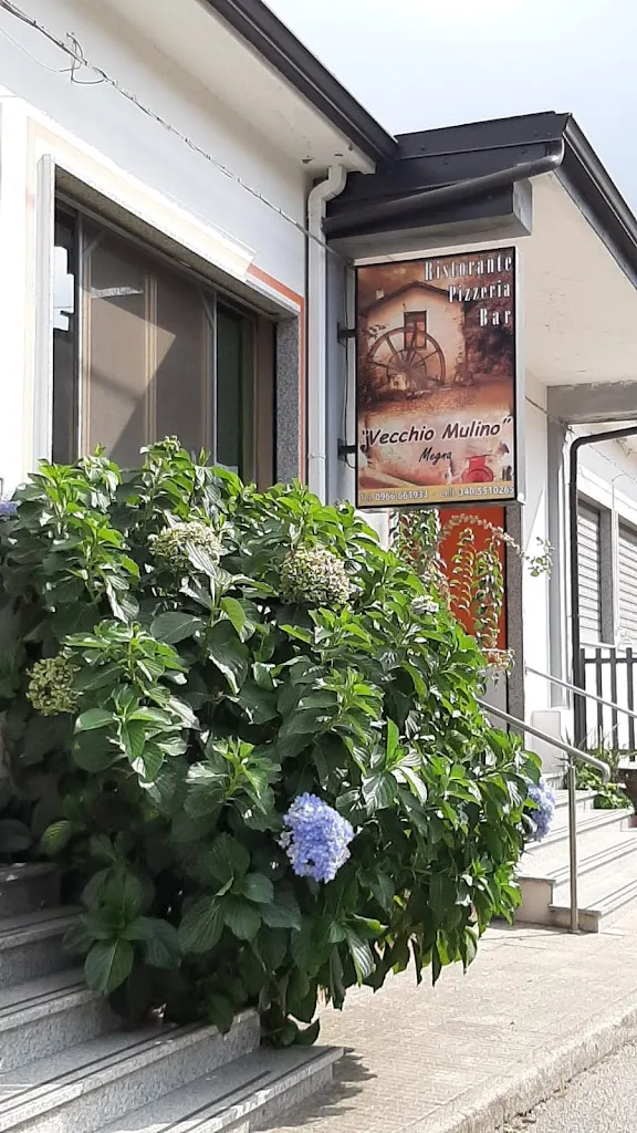 DisnEly Channel_Ristorante Vecchio Mulino_Cittanova_review