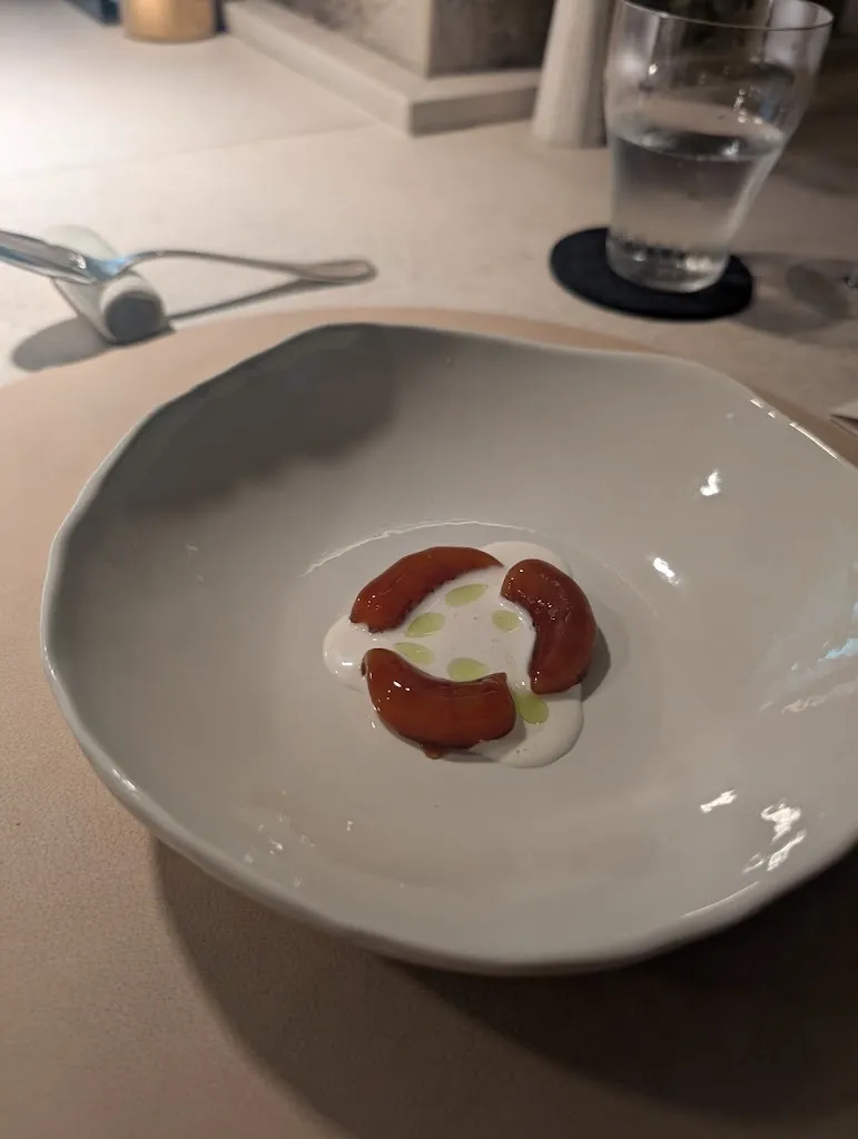 Damir U_Qafiz_Cosoleto_review