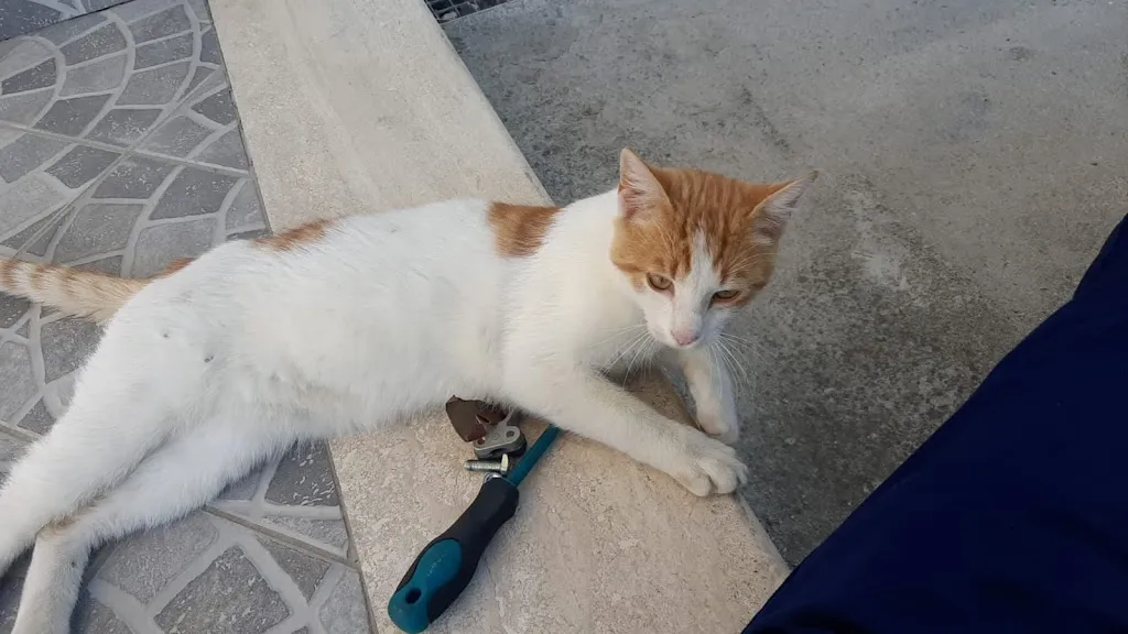 Kekko Perri_Lievito e Cucina_Cotronei_review