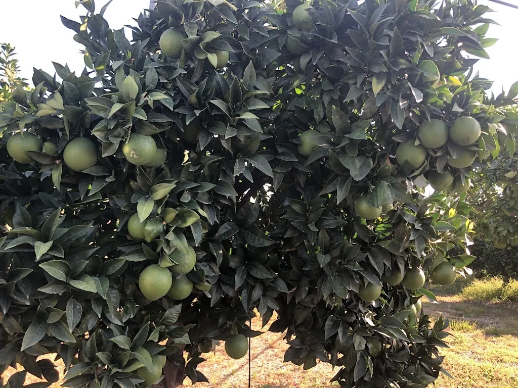 Corner Toe_Relais Il Mulino_Corigliano Scalo_recensione