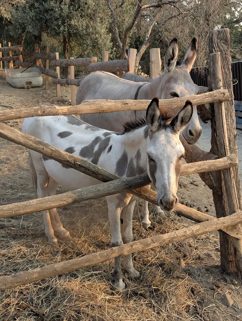 Farm Holiday Caruso_Crucoli_slider_image_2