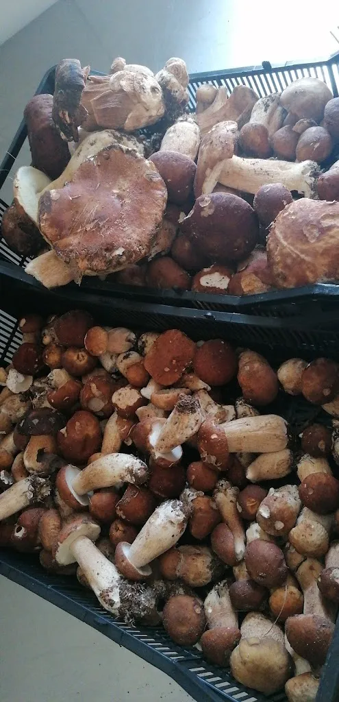 Menu_Ristorante Hotel Caligiuri_Decollatura_image_3