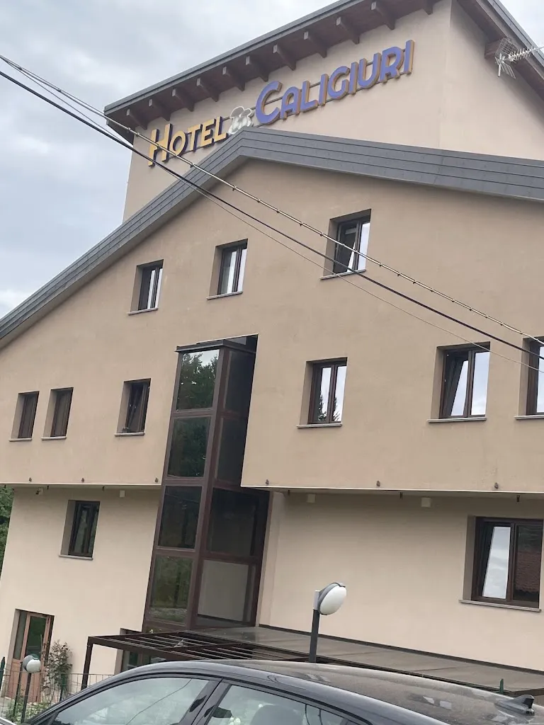 Sam Tomanio_Ristorante Hotel Caligiuri_Decollatura_review