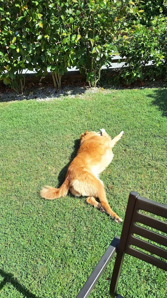 vincenza baldassarre_Agriturismo La Vecchia Fattoria_Decollatura_review