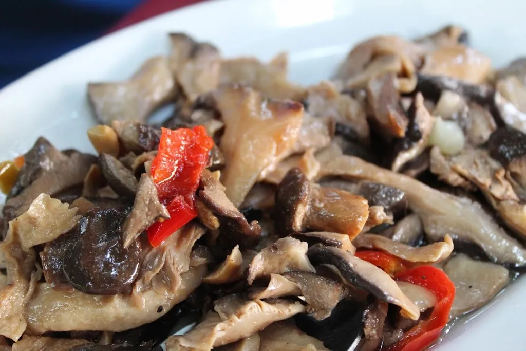 Menü_Tuc Village_Fagnano Castello_Bild_7