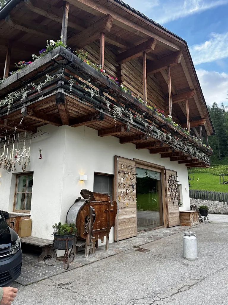 Nathy Crisanti_SanBrite_Cortino_review