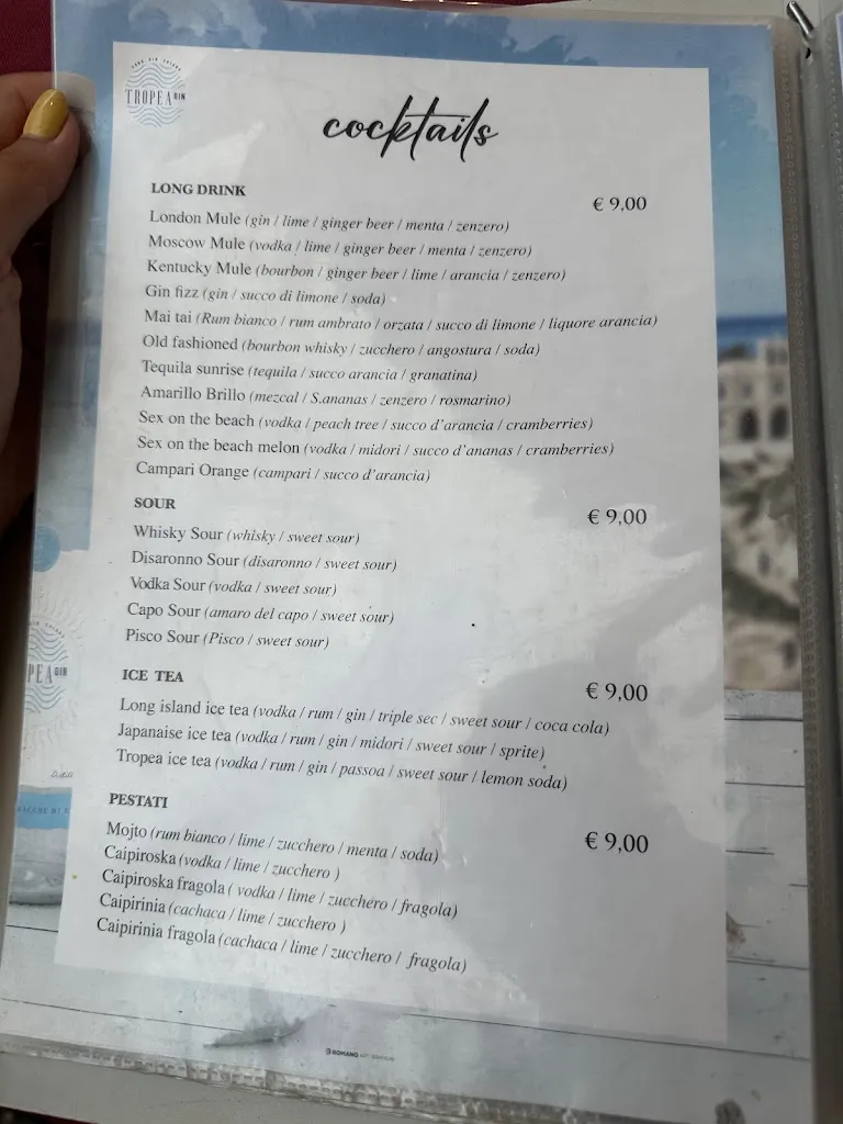 Menu_ALBIN’S RESTAURANT_Drapia_immagine_3