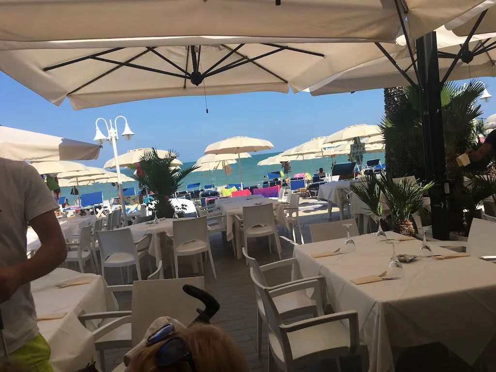 Michał Rygiel_Chalet Barbanera Beach_Alba Adriatica_review