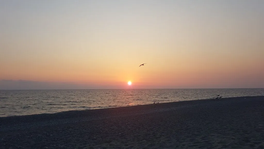 Francesco Mazzei_PAPAGAYO_Falerna_recensione