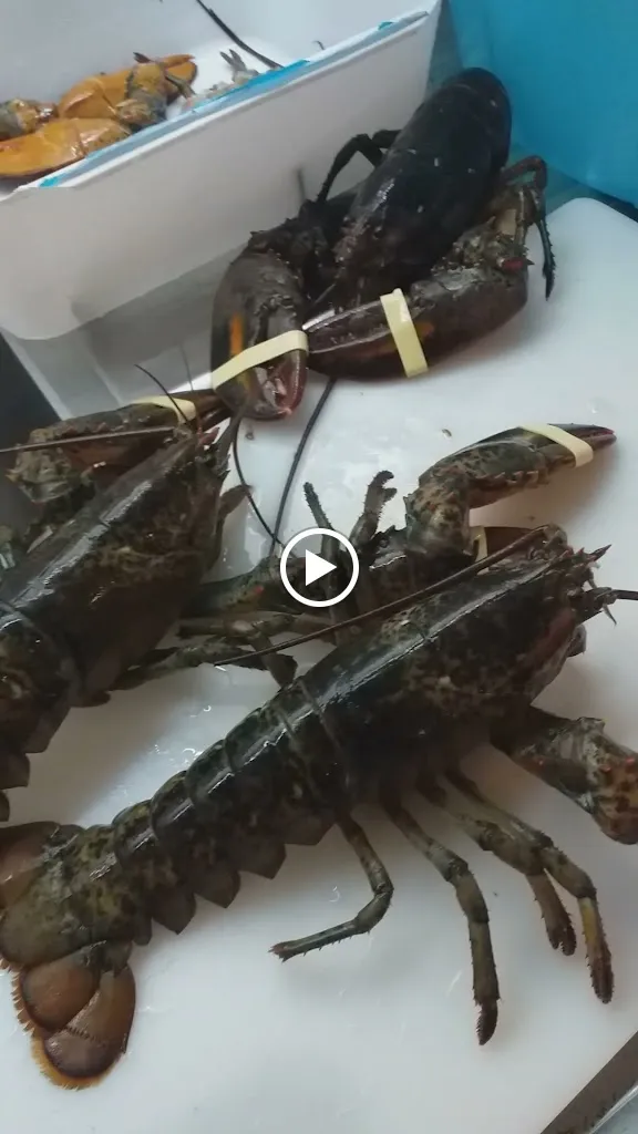 Da Zia Lina Trattoria Macelleria_Filandari_slider_image_2