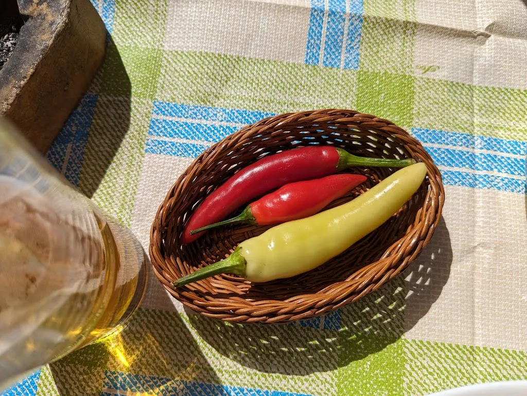 Menu_EL Costa Bar_Feroleto Antico_image_5